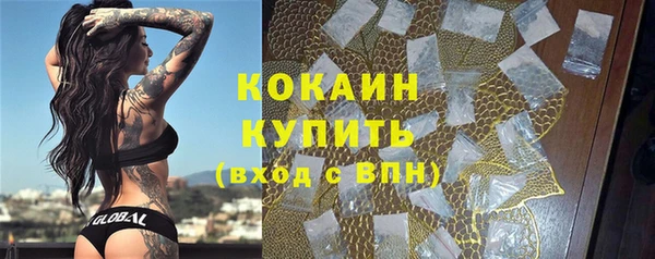 2c-b Бородино